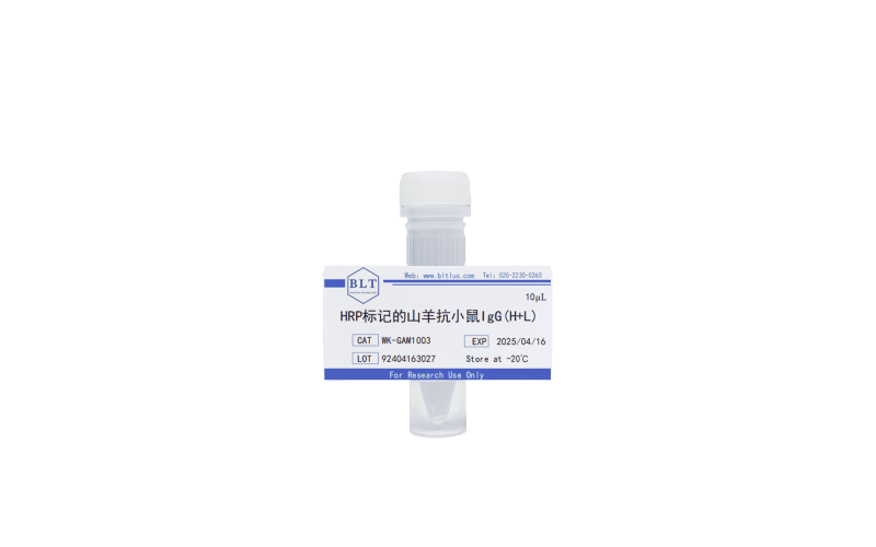 HRP標(biāo)記的山羊抗小鼠IgG(H+L)
